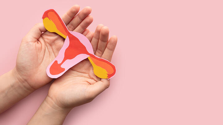 Woman's hands holding colorful uterus shape made from paper on pink background.